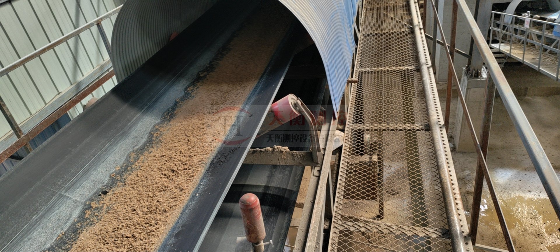 91看片成人软件-现场