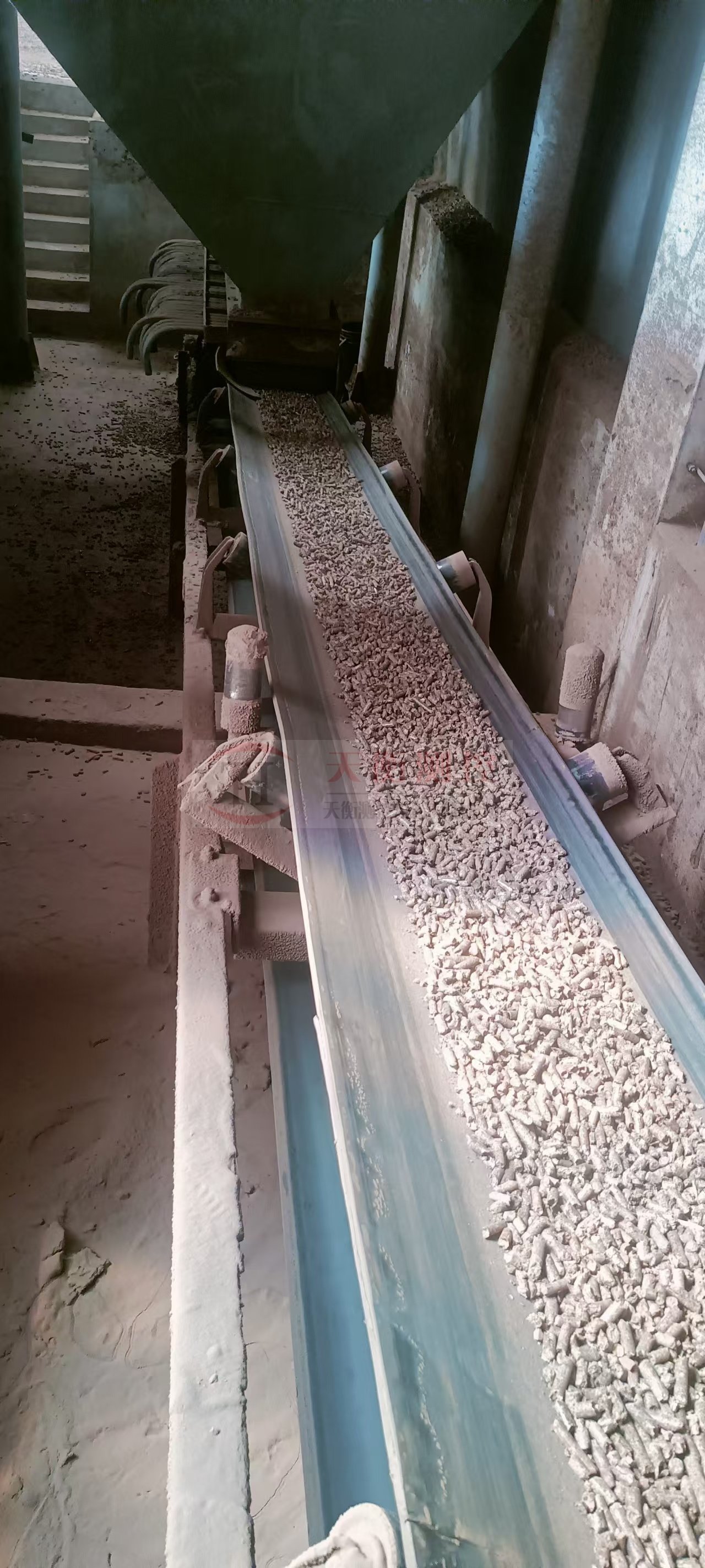 91看片成人软件-